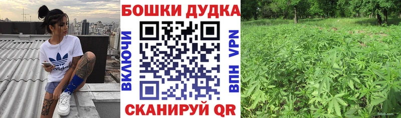 Купить наркотики цена Городовиковск Псилоцибиновые грибы  мега ссылка  ГАШ  МЕФ  Конопля  Кокаин  MDMA 