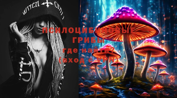 стафф Баксан