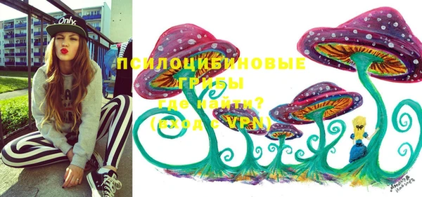 мдпв Балабаново